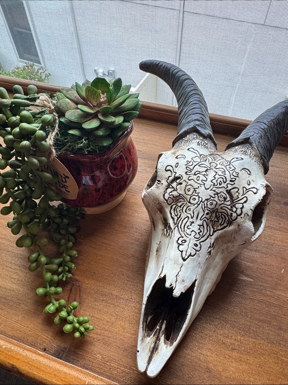 Decorative Etched Animal Skull Accent - White and Brown